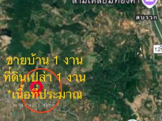 For sale land in Chiang Saen, Chiang Rai