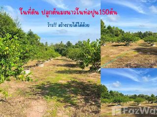 For sale land in Mueang Udon Thani, Udon Thani