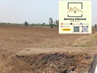 For sale land in Khong, Nakhon Ratchasima