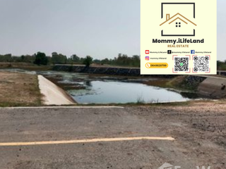 For sale land in Khong, Nakhon Ratchasima