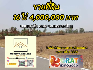 For sale land in Khong, Nakhon Ratchasima