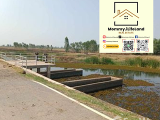 For sale land in Khong, Nakhon Ratchasima