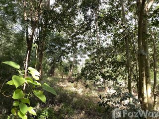 For sale land in Mae Rim, Chiang Mai