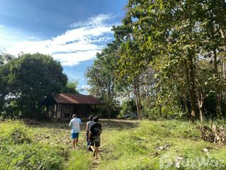For sale land in Mae Rim, Chiang Mai