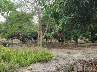 For sale land in Hua Hin, Prachuap Khiri Khan