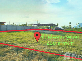For sale land in Khao Yoi, Phetchaburi