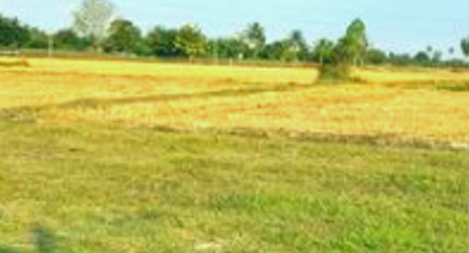 For sale land in Khao Yoi, Phetchaburi