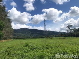 For sale land in Wiang Sa, Surat Thani