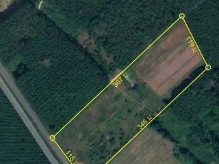For sale land in Wiang Sa, Surat Thani