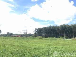 For sale land in Wiang Sa, Surat Thani