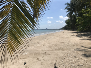 For sale land in Lang Suan, Chumphon
