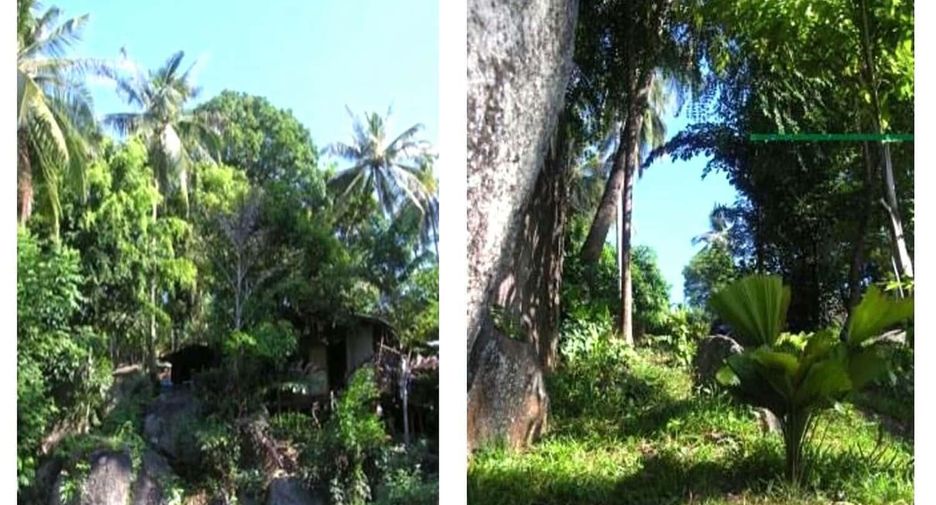 For sale 2 bed villa in Ko Samui, Surat Thani