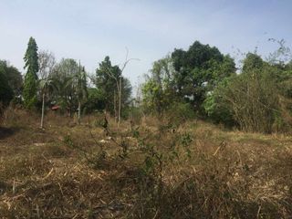 ขาย ที่ดิน ใน สันทราย, เชียงใหม่