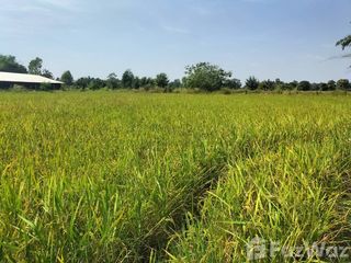 For sale land in Ban Phai, Khon Kaen