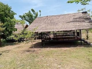 For sale land in Mueang Chaiyaphum, Chaiyaphum