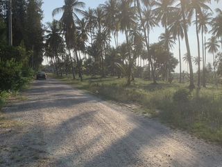For sale land in Thap Sakae, Prachuap Khiri Khan