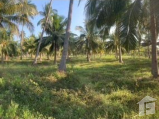 For sale land in Thap Sakae, Prachuap Khiri Khan