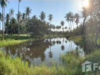 For sale land in Thap Sakae, Prachuap Khiri Khan