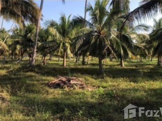 For sale land in Thap Sakae, Prachuap Khiri Khan