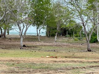 For sale land in Kui Buri, Prachuap Khiri Khan