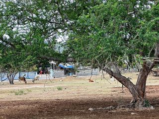 For sale land in Kui Buri, Prachuap Khiri Khan