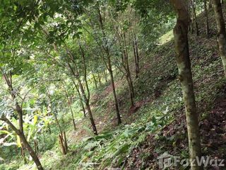For sale land in Mae Chan, Chiang Rai