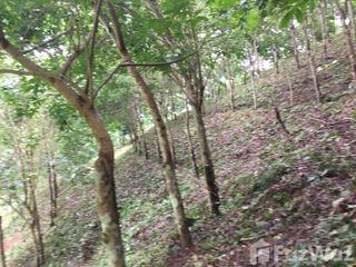 For sale land in Mae Chan, Chiang Rai