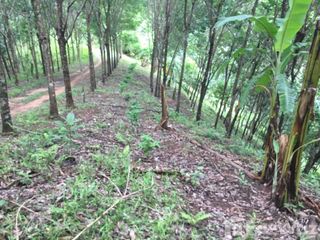 For sale land in Mae Chan, Chiang Rai