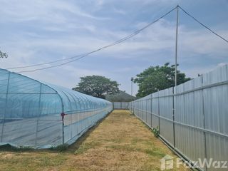 For sale land in Khao Yoi, Phetchaburi