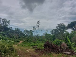 For sale land in Thalang, Phuket