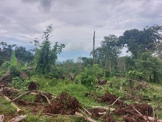 For sale land in Thalang, Phuket