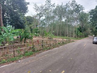 For sale land in Thalang, Phuket
