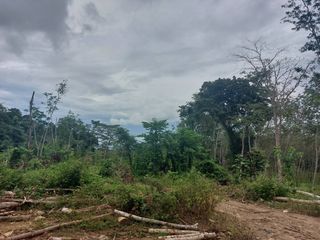 For sale land in Thalang, Phuket