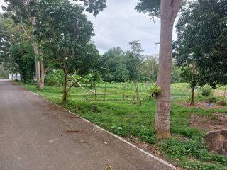 For sale land in Thalang, Phuket