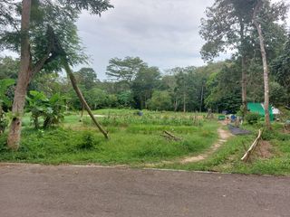 For sale land in Thalang, Phuket