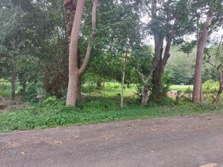 For sale land in Thalang, Phuket