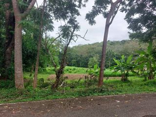 For sale land in Thalang, Phuket