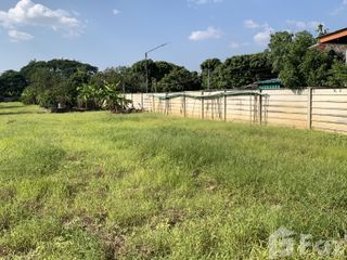 For sale land in Saraphi, Chiang Mai