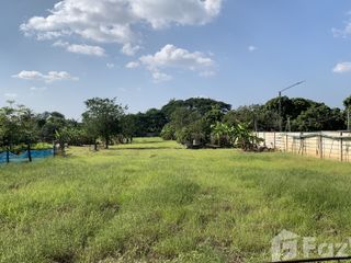 For sale land in Saraphi, Chiang Mai