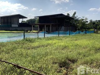 For sale land in Saraphi, Chiang Mai