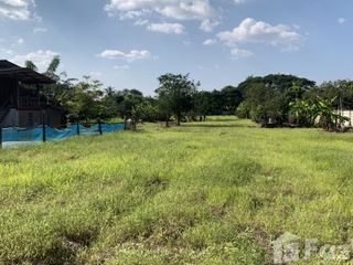 For sale land in Saraphi, Chiang Mai