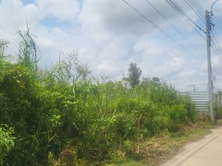 For sale land in Mueang Samut Sakhon, Samut Sakhon