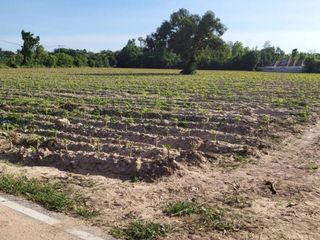 For sale land in Bang Lamung, Chonburi