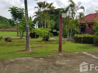 For sale land in Mae Chai, Phayao