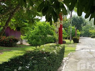 For sale land in Mae Chai, Phayao