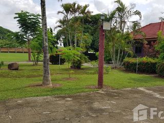 For sale land in Mae Chai, Phayao