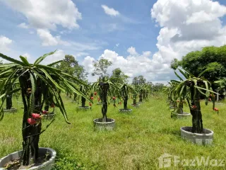 For sale land in Mueang Amnat Charoen, Amnat Charoen