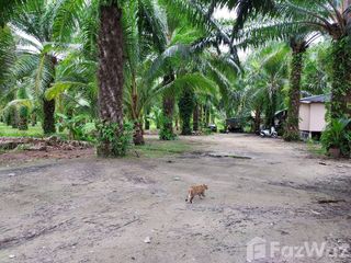 For sale land in Thalang, Phuket