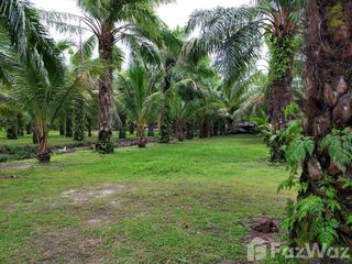 For sale land in Thalang, Phuket