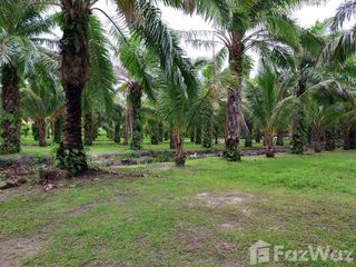 For sale land in Thalang, Phuket